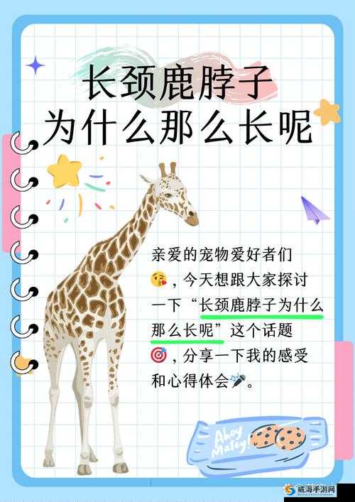 B 大与小的好处-深入探讨其在不同场景中的具体体现与意义