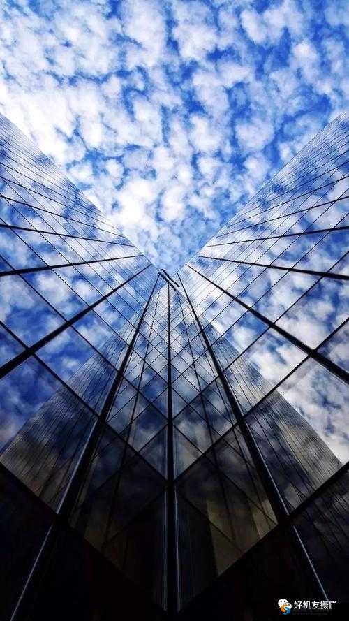 WINDOWSCHANNEL 视频中的艺术境界:独特视角下的美学呈现