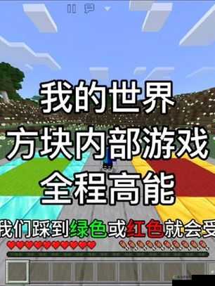 国际免费 b 站：带你领略不一样的精彩视频世界