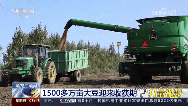 大豆行情网 51dadou2024 ：全方位解析最新大豆市场动态
