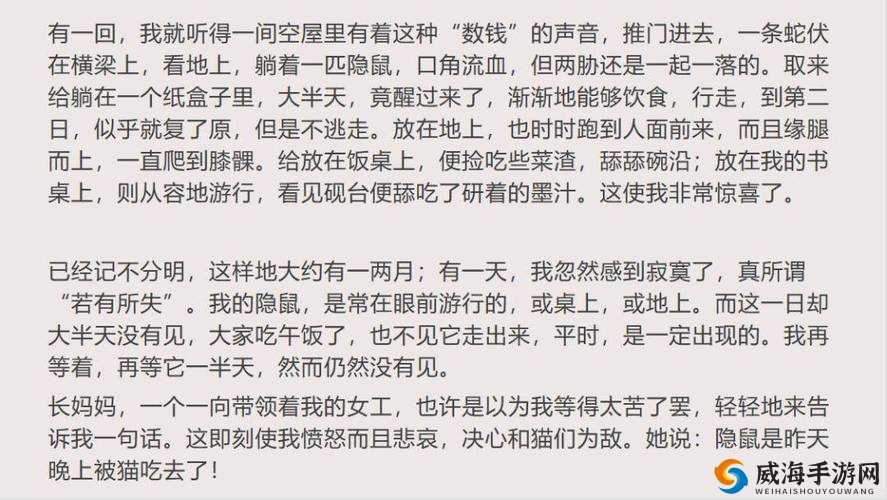 坐在教授的棍子上写句子：独特写作方式背后的思考