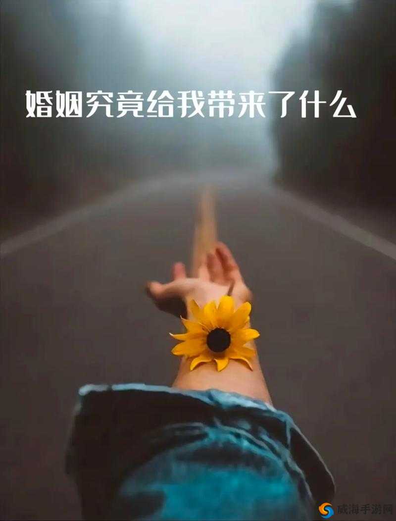 女人更喜欢 3 人还是 2 人？这背后的情感奥秘探究