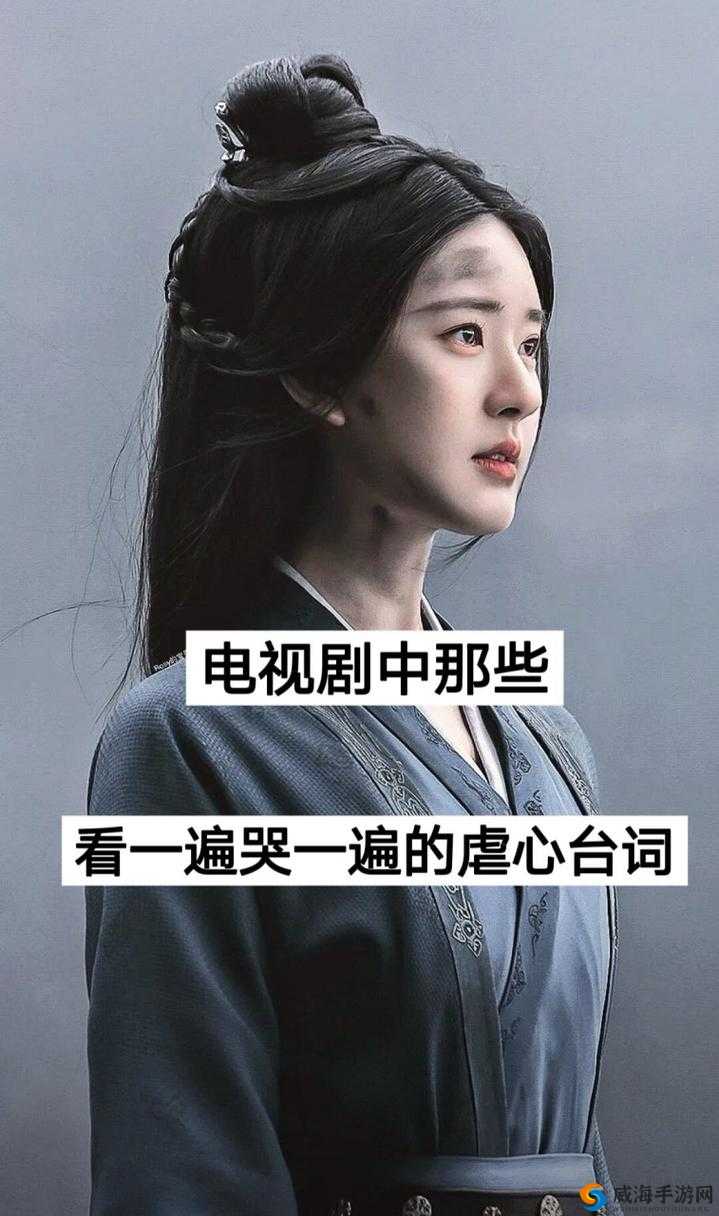 女二坏心肠却获男二痴情守护的虐心电视剧
