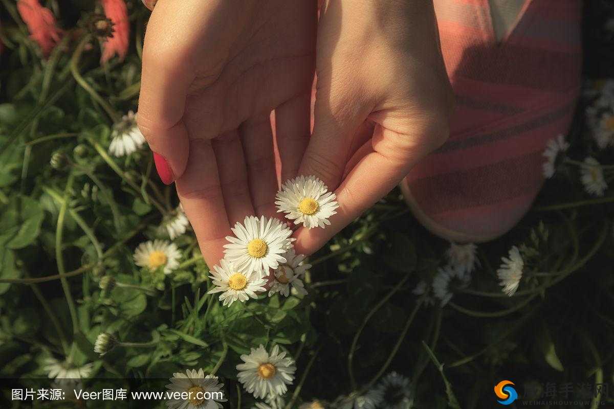 18+ 视角下的处女摘花：独特而隐秘的情境展现