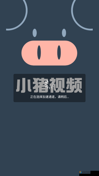 小猪视频 APP 多人运动版：一款极具特色的视频应用平台