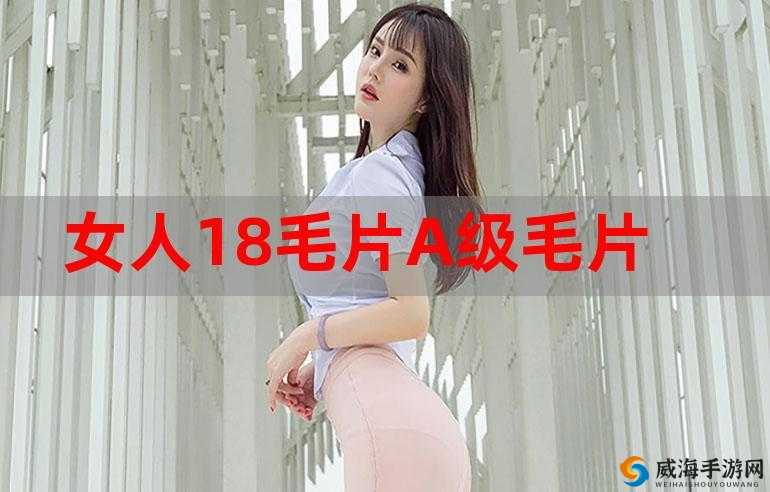 成年人短片髦片：探索私密领域的视觉盛宴