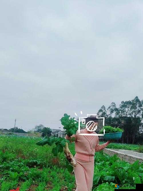 拔萝卜一边喘气一边说痛怎么办：老年人气喘吁吁，拔萝卜力不从心