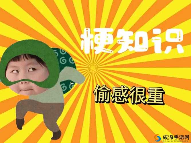 S 货是不是欠干了:探索这个网络热梗的含义