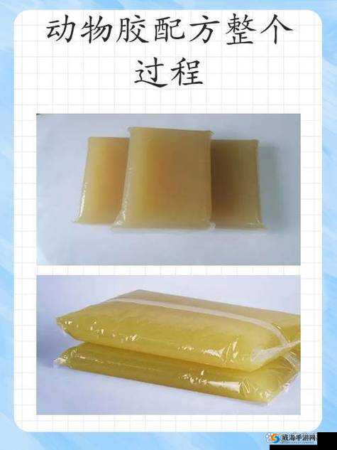 动物胶配方整个过程：从原料选取到成品制作详解