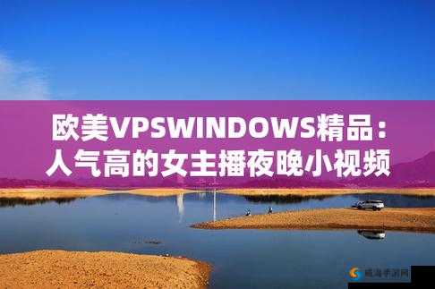 VPSWINDOWS 另类精品:带来独特而优质的体验