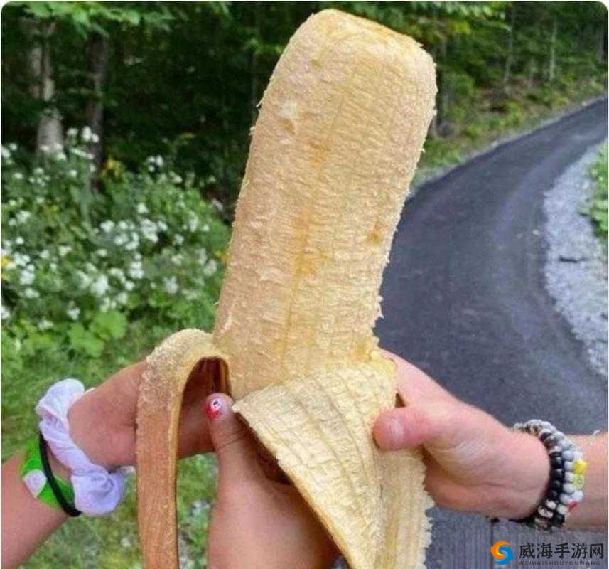 香蕉在线手观看视频:尽享精彩视觉盛宴不停歇