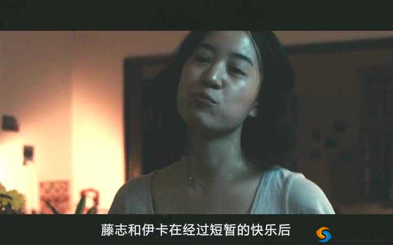 女人又爽又黄,免费观看无限制:探索成年人世界的激情与乐趣