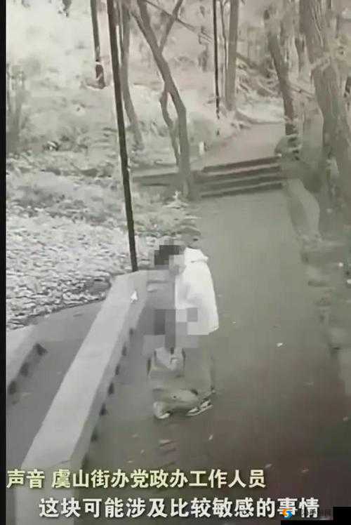 野外做受场景:又硬又粗又大视幕震撼呈现