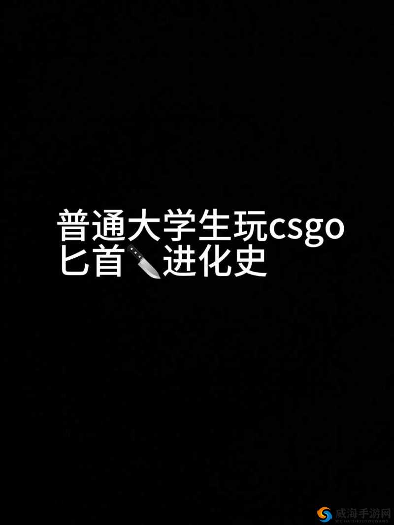 暴躁老姐的 csgo 最新版本-带你领略不一样的电竞魅力世界