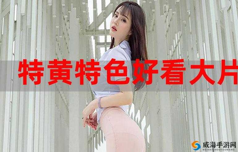 激情燃烧的 60 分钟：特黄特色，免费体验