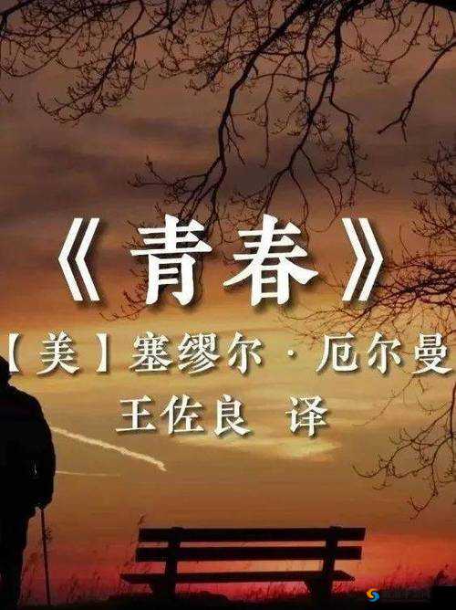 Tobu7Tobu8 学生 18 :探索未知知识的青春奋进者