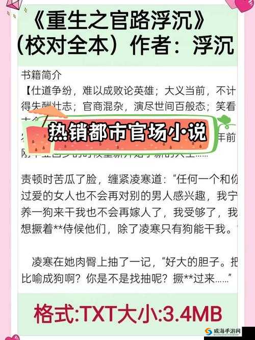 老外上司粗干小说：职场风云中不为人知的隐秘较量
