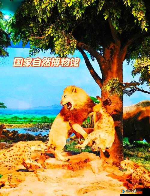 91 就要鲁就要鲁:探索独特世界的奇妙之旅