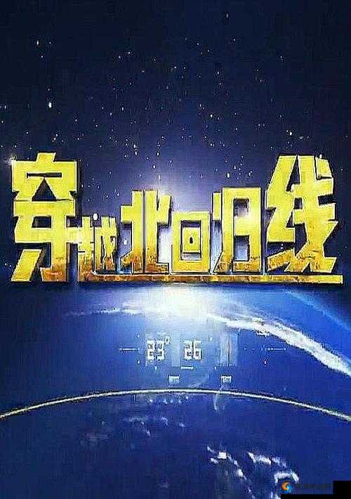 yw 龙物永不换的域名是什么?揭秘背后的神秘故事