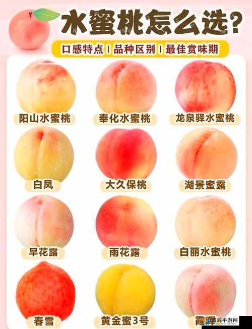 x7x7x7x7 任意噪水蜜桃：带你领略独特的甜蜜风味