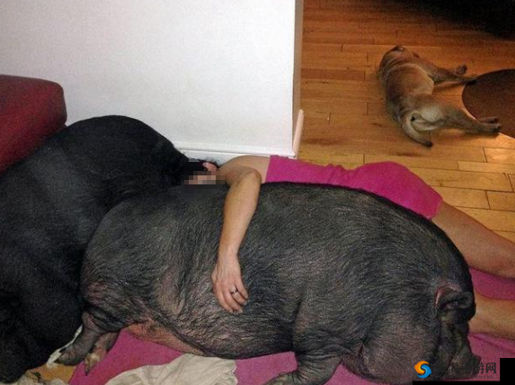 人猪又细又长像钻头一样图片：这是一个奇特的画面