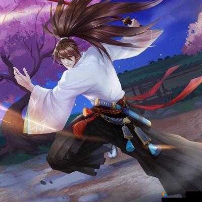 红枫之巅的秘密,侍魂胧月传说寻找技巧大揭秘