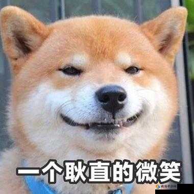 啊啊啊你 TM 别舔了：别再舔了，这真的很让人困扰