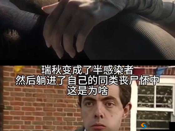 明日之后,瑞秋之约与40残页亲密值的管理艺术