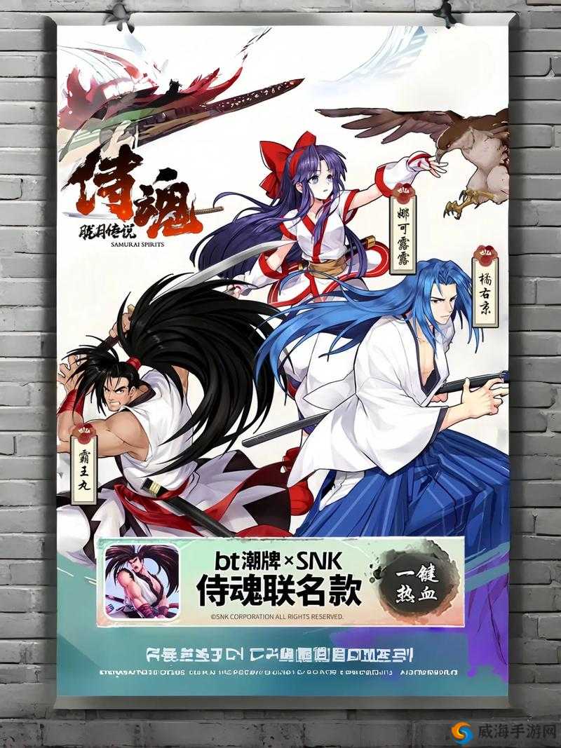 侍魂胧月传说，社交玩法深度解析与番队、家族功能探索