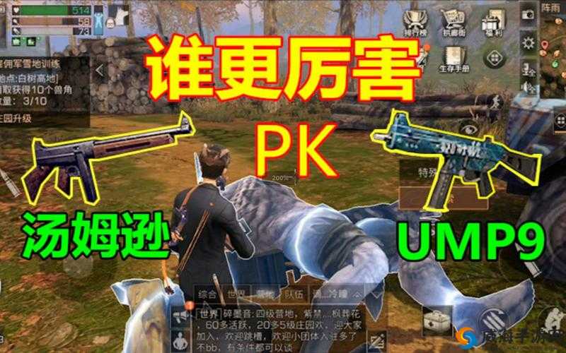 明日之后汤姆逊和UMP9对比,根据定位选武器的重要性与策略