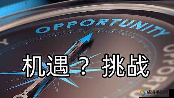 江湖求生,策略与机遇并存的生存艺术