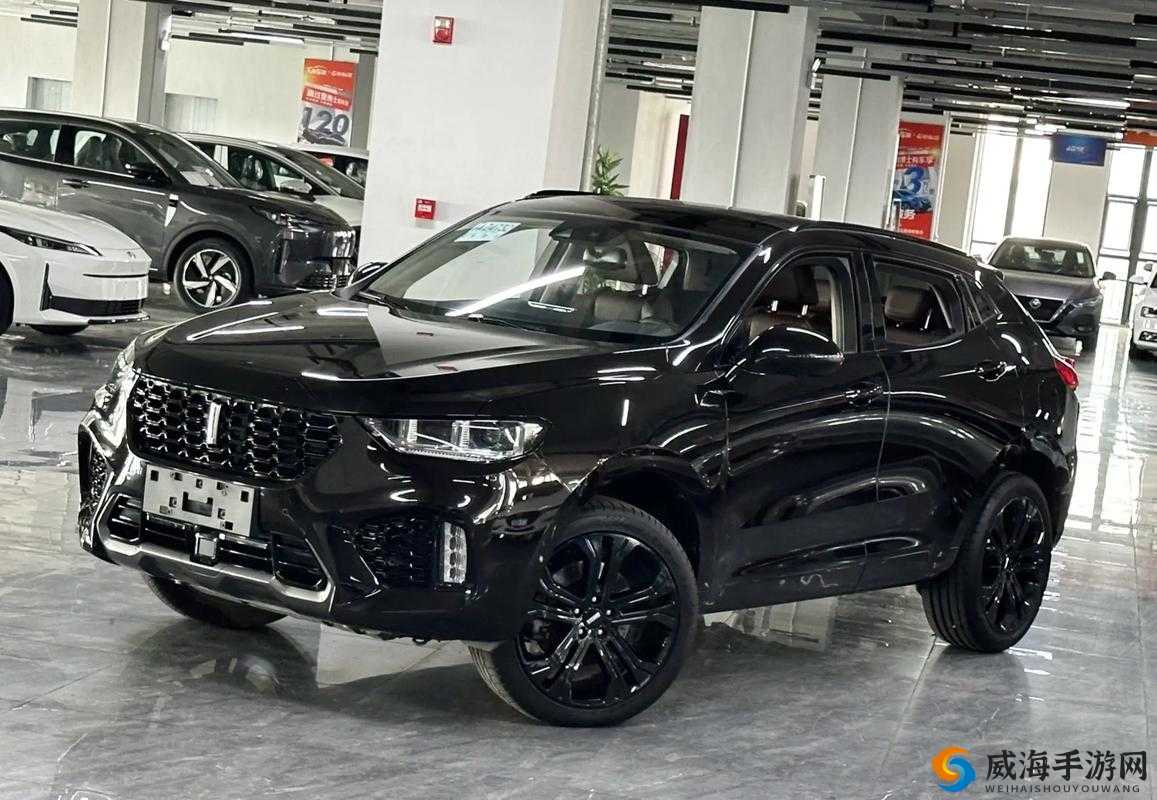 weyvv5 国产 SUV 深度评测:全方位剖析其性能与亮点