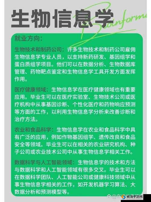 交替轮换 4:探索其独特机制与广泛应用前景