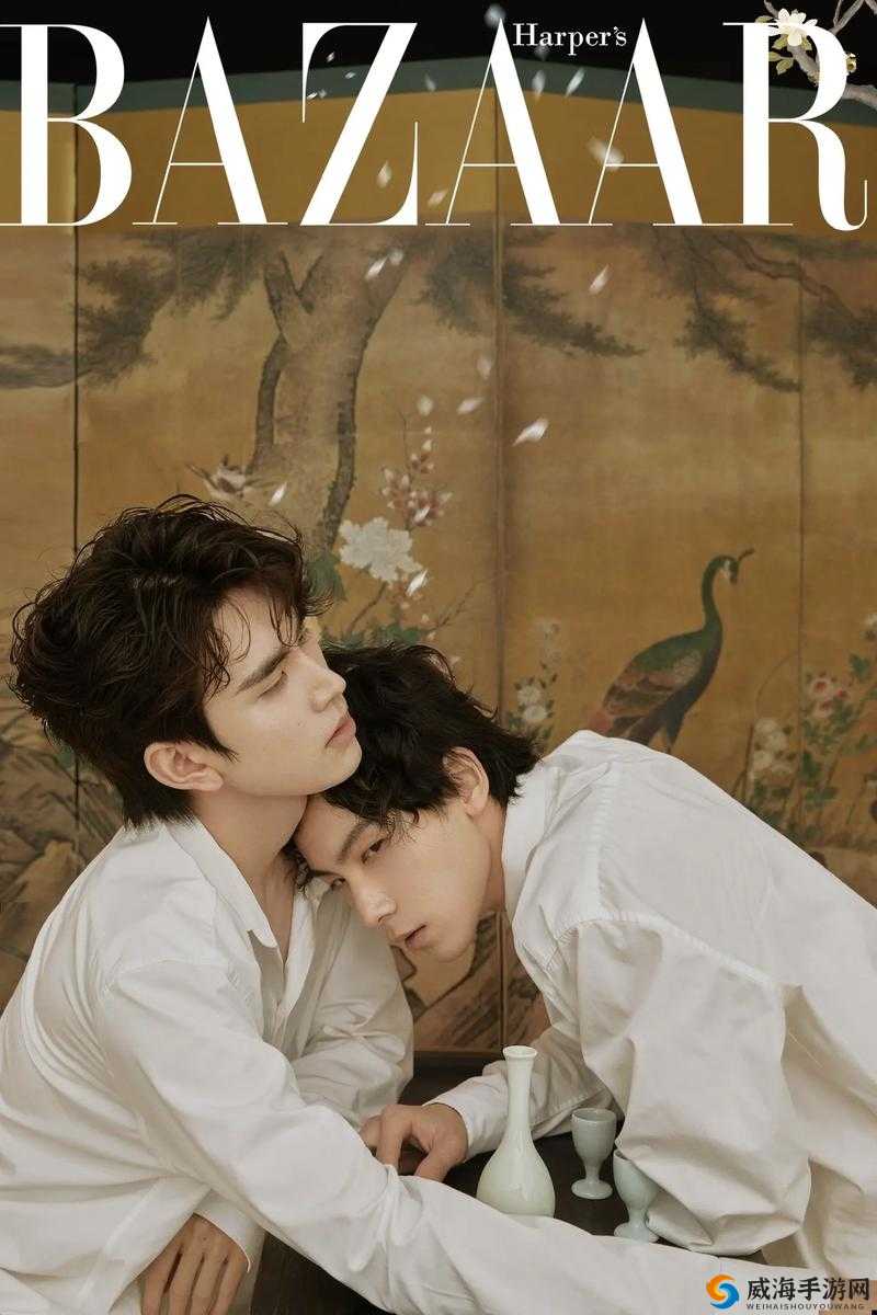 双男主高清素材大全视频之精彩内容全面呈现