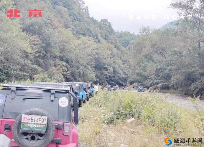长途汽车上的陌生之旅：最后一排的未知冒险