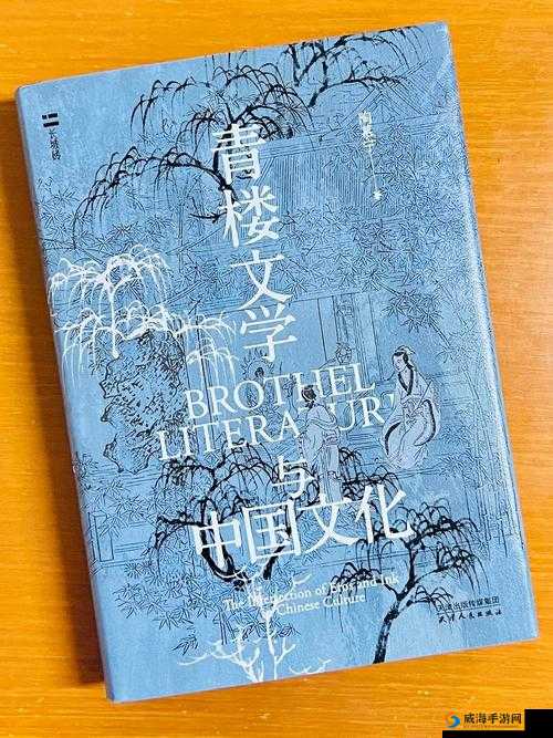 青楼传媒：探寻古代文化与娱乐的别样视角