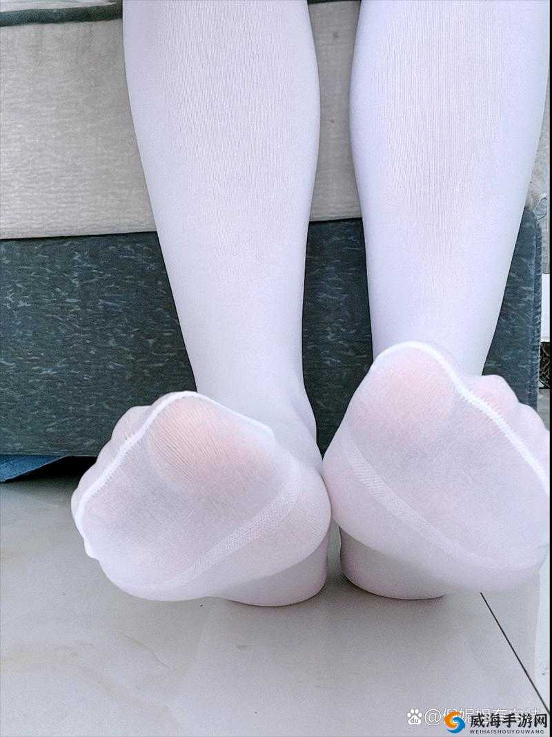 最新 www.白丝 写真图片：展现女性的优雅与魅力