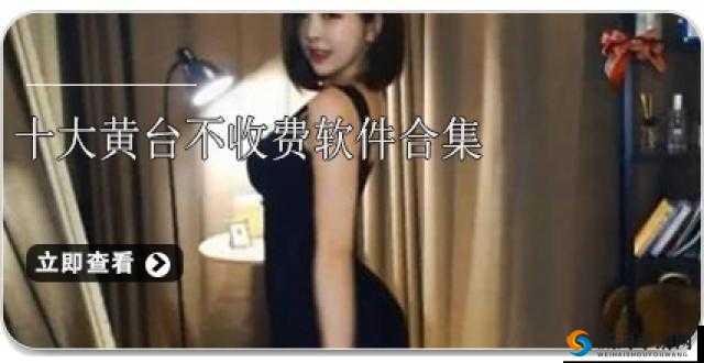 黄台软件 2024 相关内容引发广泛关注与思考