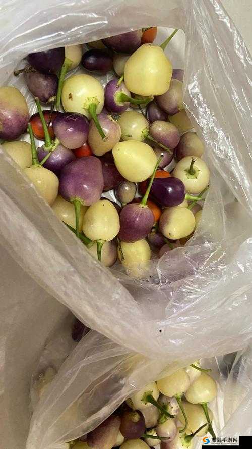 超碰自拍辣椒:记录生活的美味瞬间