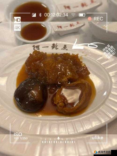 鲍鱼直播:一场精彩绝伦的美食盛宴直播