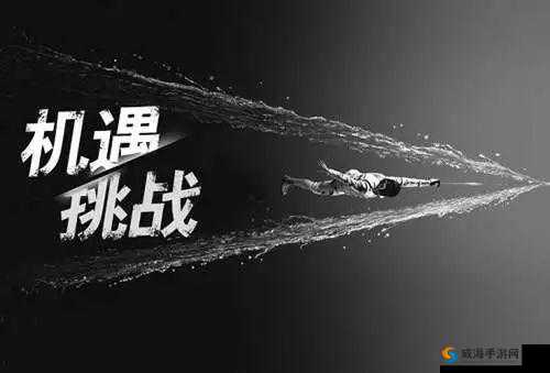 记忆迷宫,挑战与机遇并存的奇幻之旅