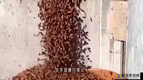 吕红今天刚进门就听见屋里传来一阵奇怪声响