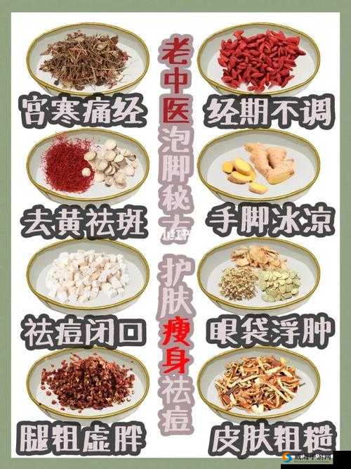 老中医杜雨婷排阴蝳：传统中医排蝳疗法的神奇功效与实践案例