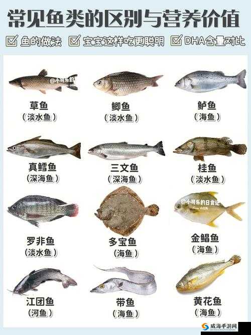 光明勇士幸运鱼怎么获得，幸运鱼获得方法介绍及其在游戏中的价值最大化