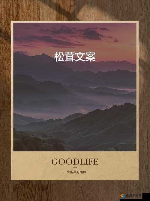 松茸的魅力与寻觅，在游戏与现实中的双重探索