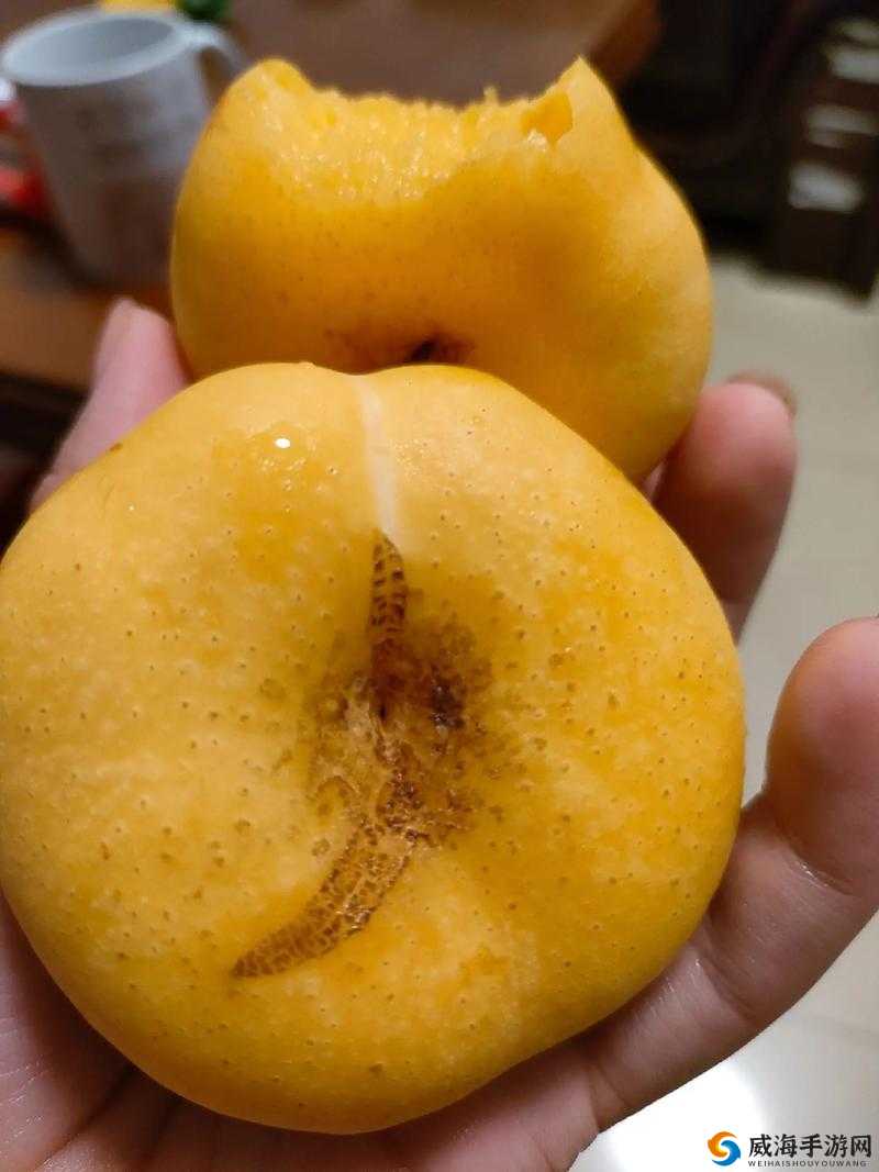 像素黄油桃子:关于它的独特魅力与趣味介绍