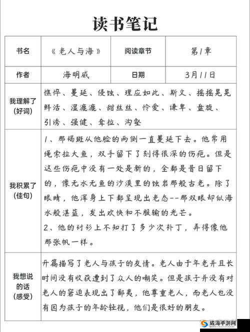 人与牲动 ZZZXXⅩ0000 背后的神秘故事与深刻内涵探讨