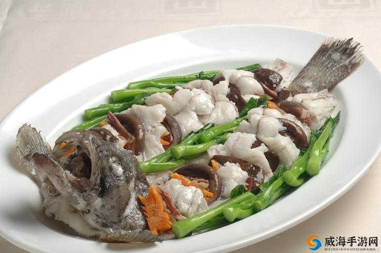 石斑鱼的魅力,从美食到健康的全方位探索