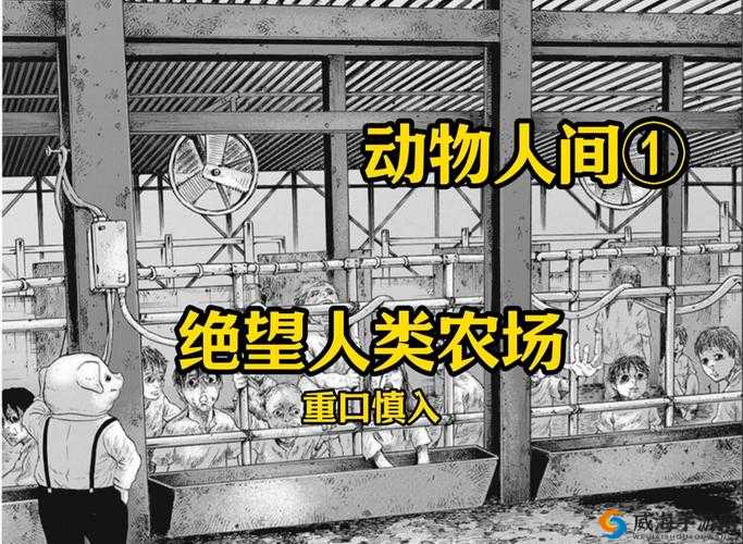 人物与动物交互在钱里叫什么:探讨动物在人类经济活动中的角色