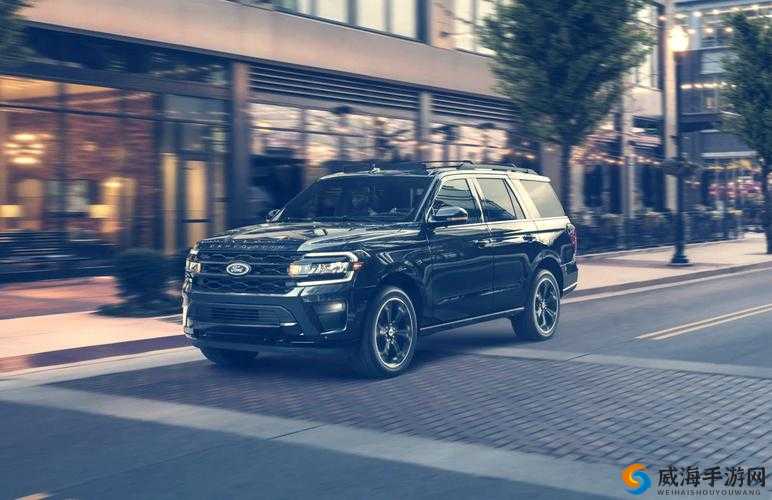 办公室欧美大尺寸 SUV:宽敞舒适的出行之选